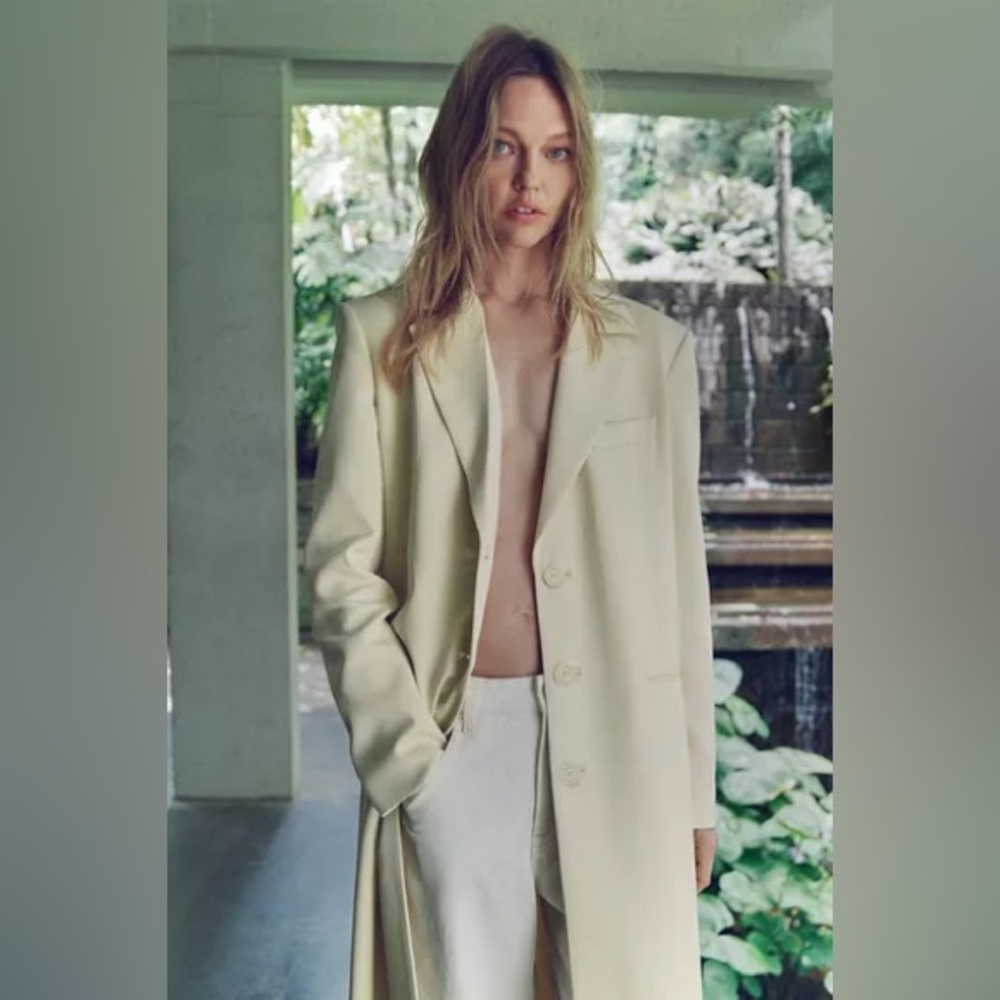 NWT Zara long frock coat - Picture 7 of 12